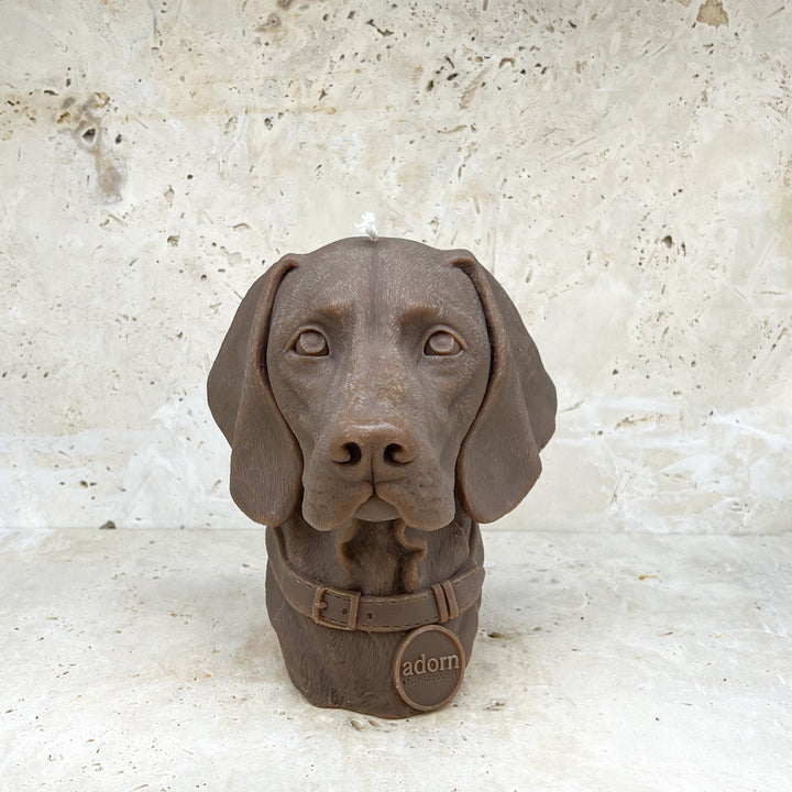 German Shorthaired Pointer Dog Candle