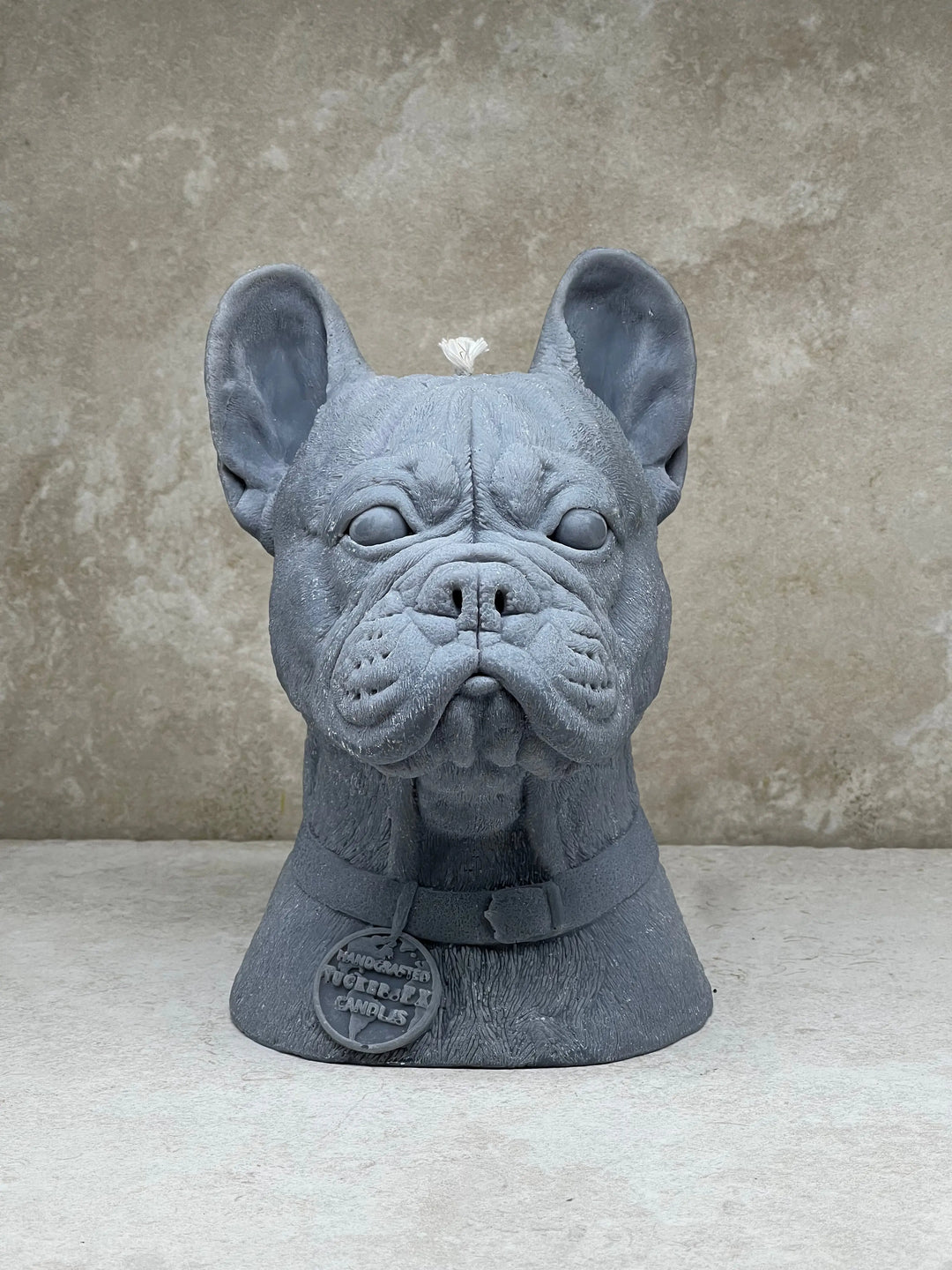 French Bulldog - Tuckersfx