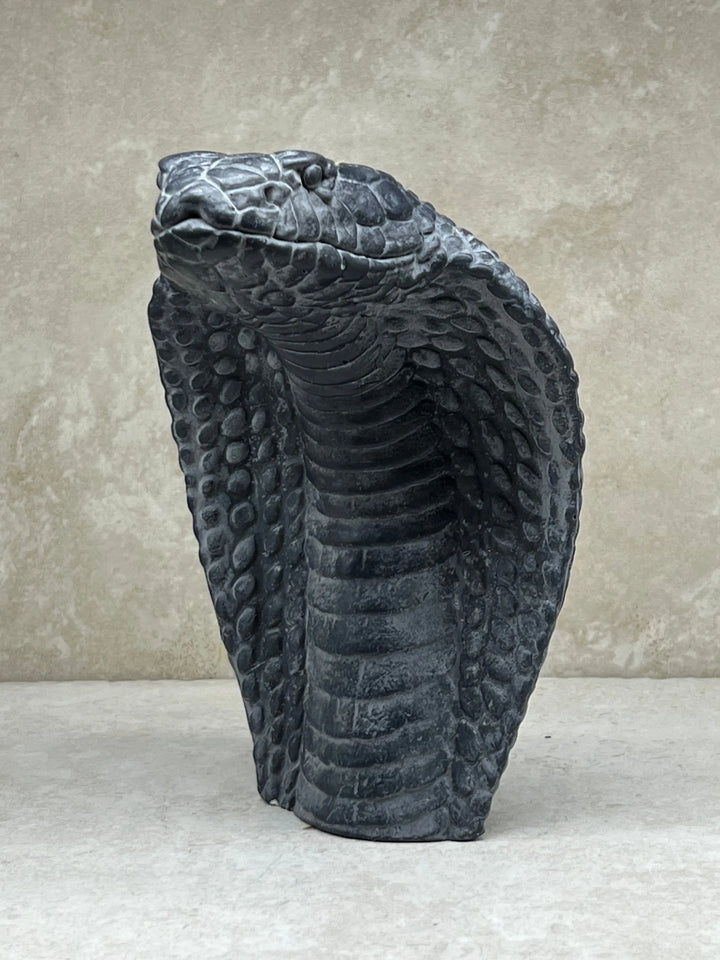 Cobra De Capello - Tuckersfx