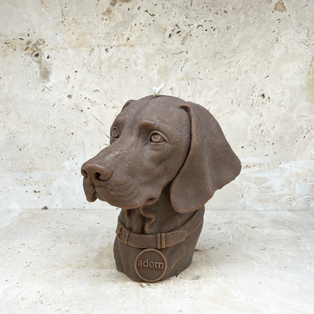 German Shorthaired Pointer Dog Candle