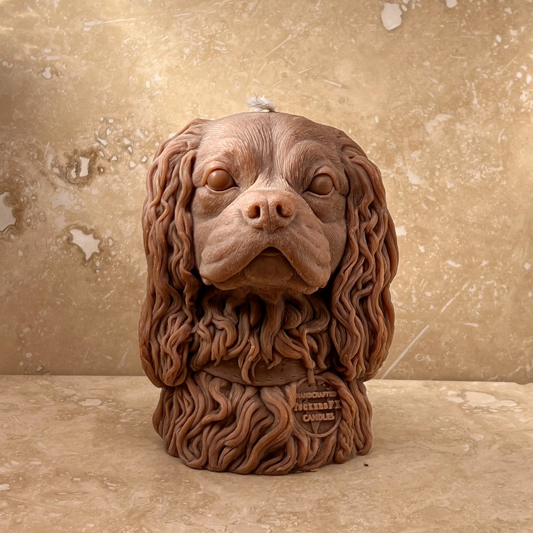 Cavalier King Charles Spaniel Tuckersfx