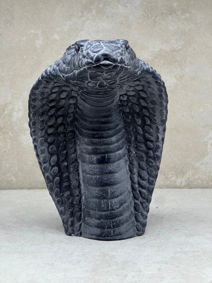 Cobra De Capello - Tuckersfx