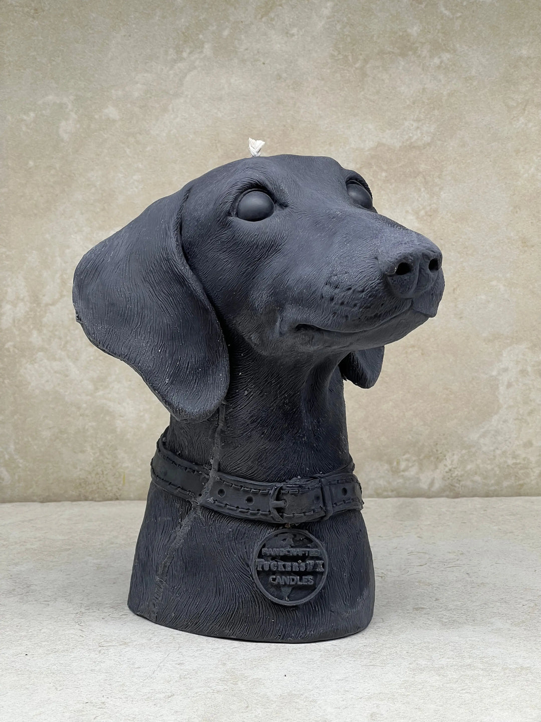 Dachshund - Tuckersfx