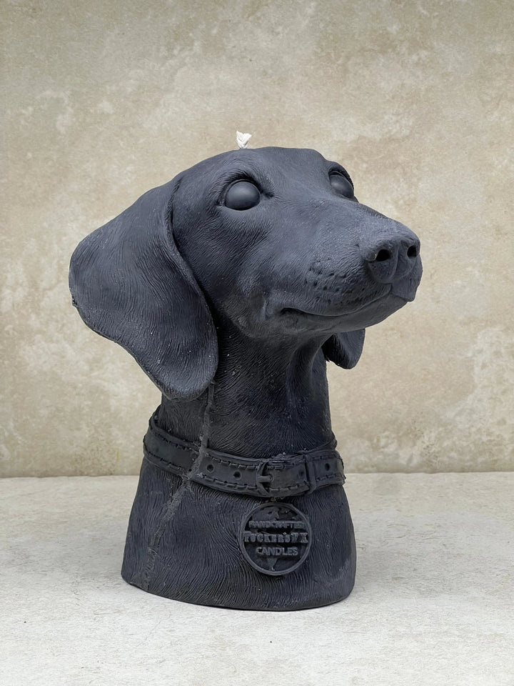 Dachshund - Tuckersfx