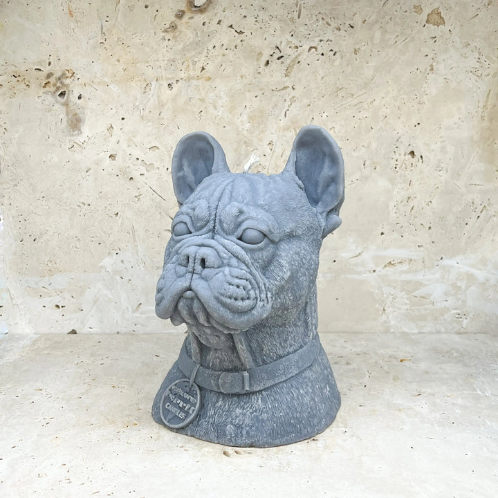 French Bulldog Tuckersfx