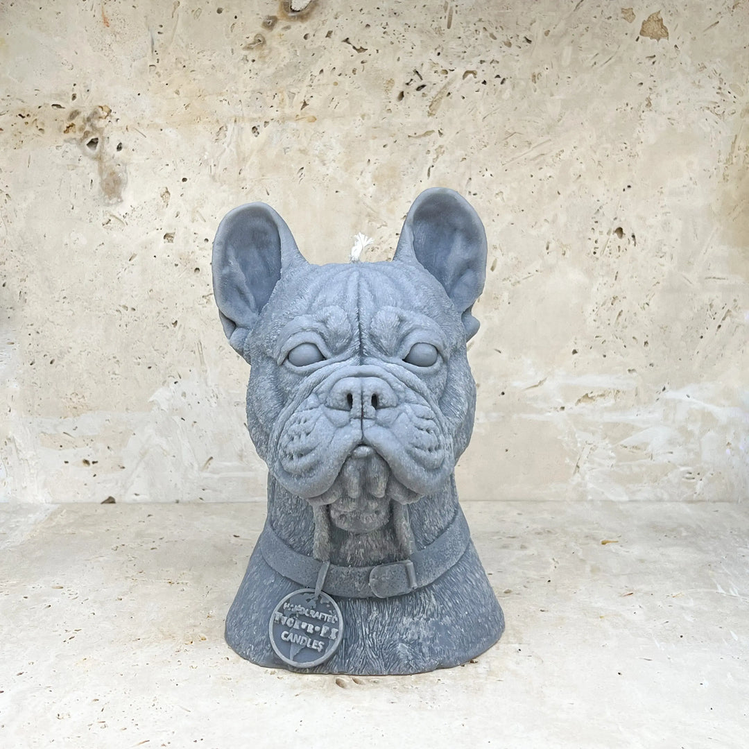 French Bulldog Tuckersfx