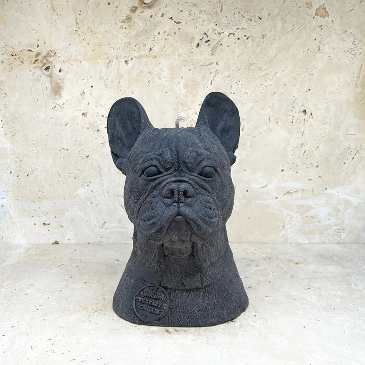 French Bulldog Tuckersfx