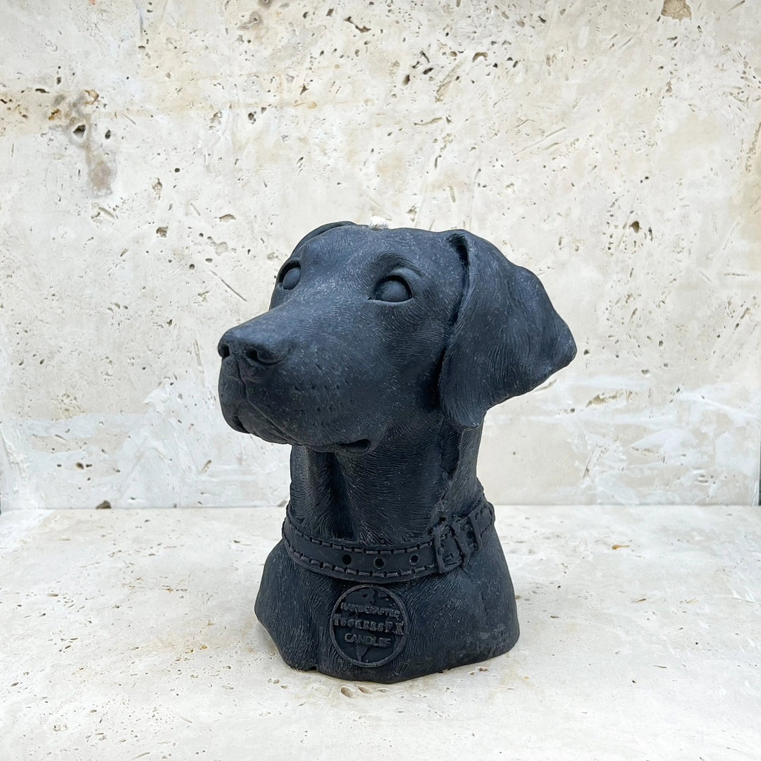 Labrador Retriever Candle Tuckersfx
