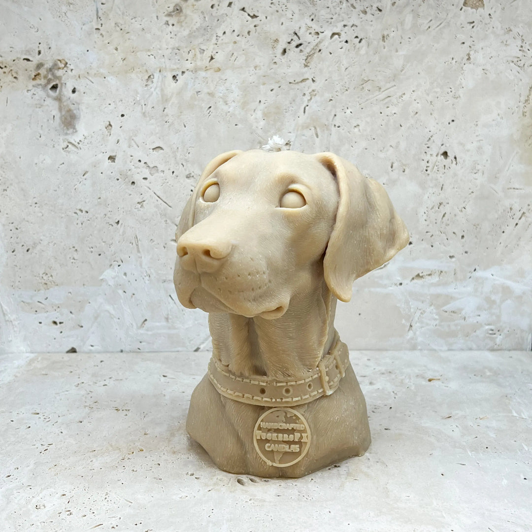 Labrador Retriever Candle Tuckersfx