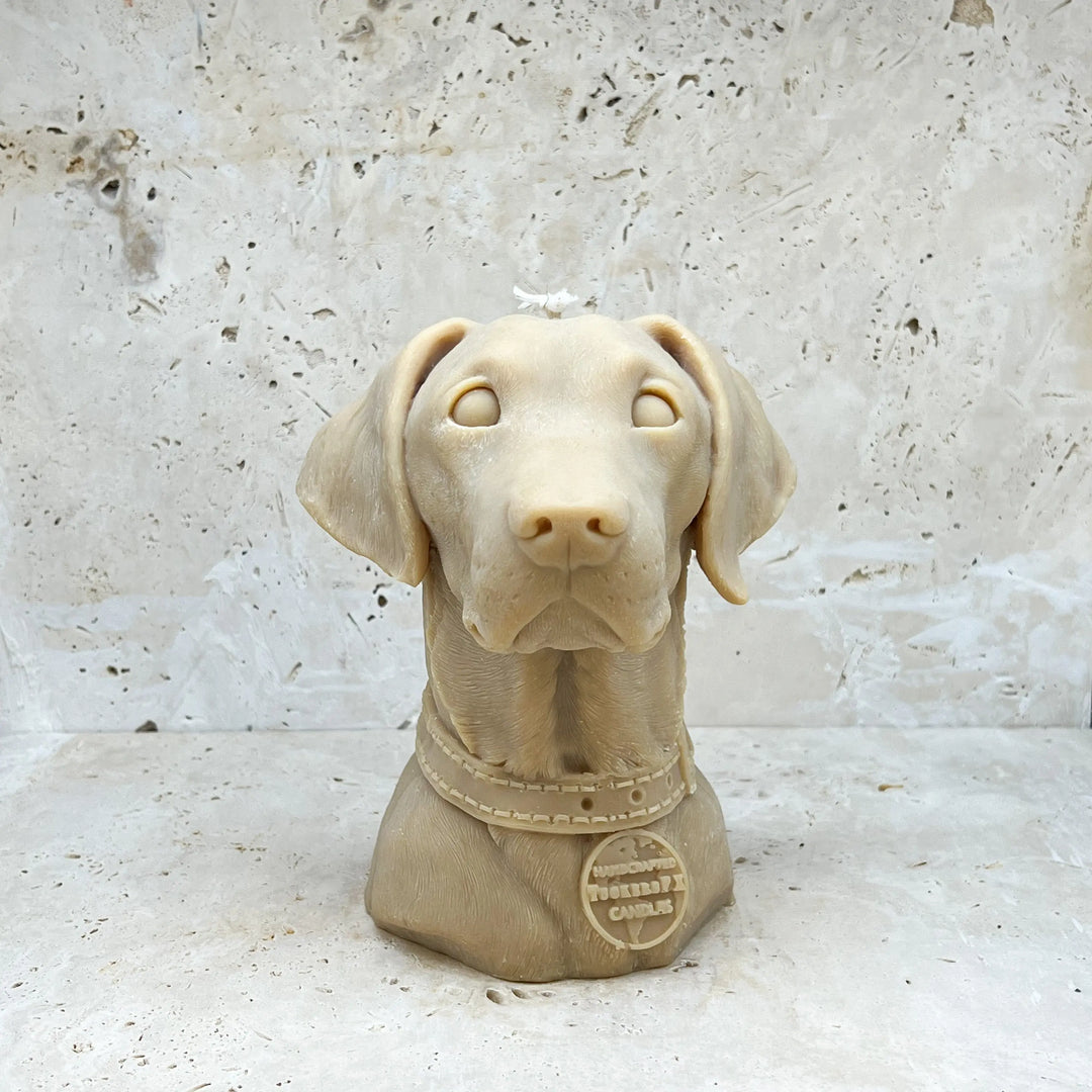 Labrador Retriever Candle Tuckersfx