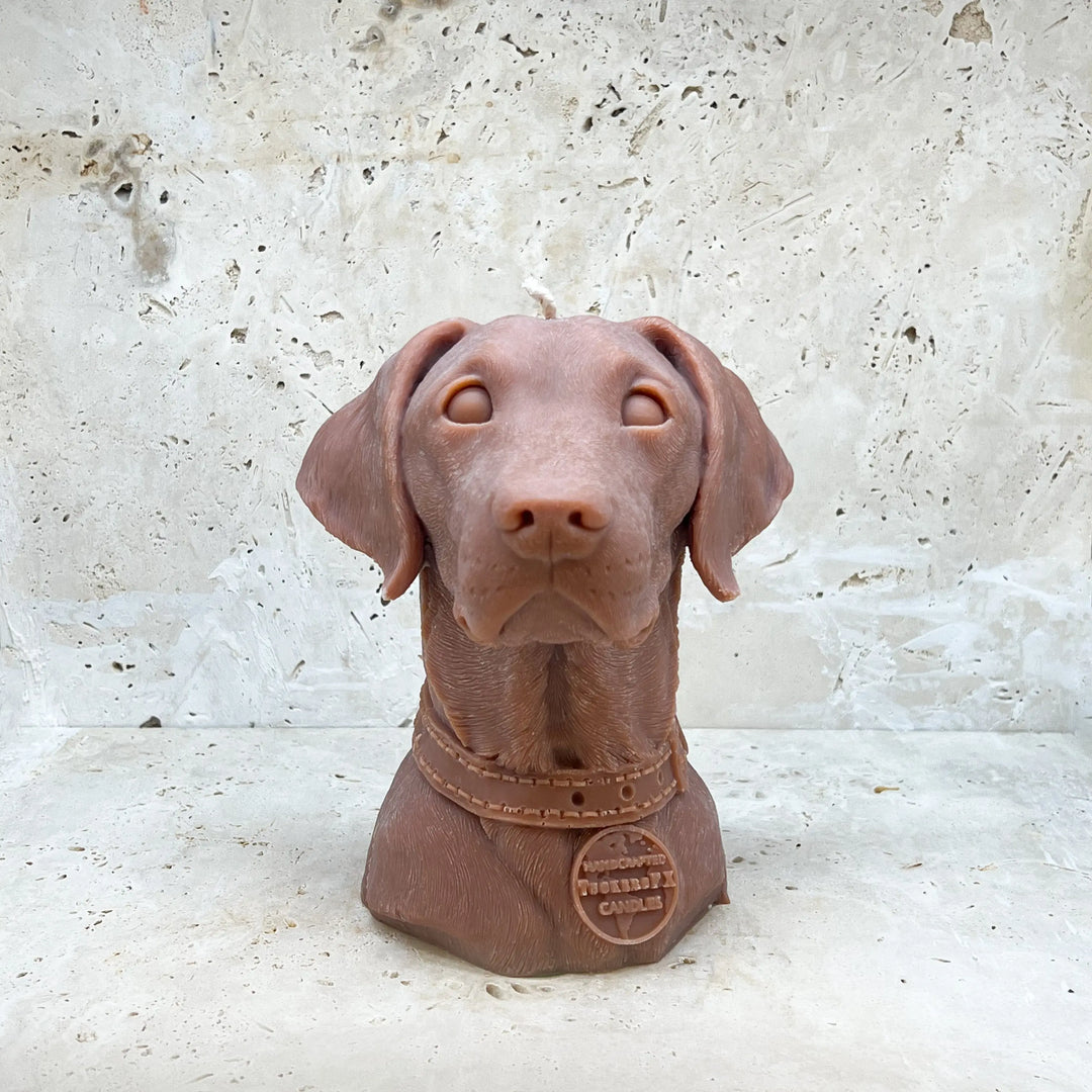 Labrador Retriever Candle Tuckersfx
