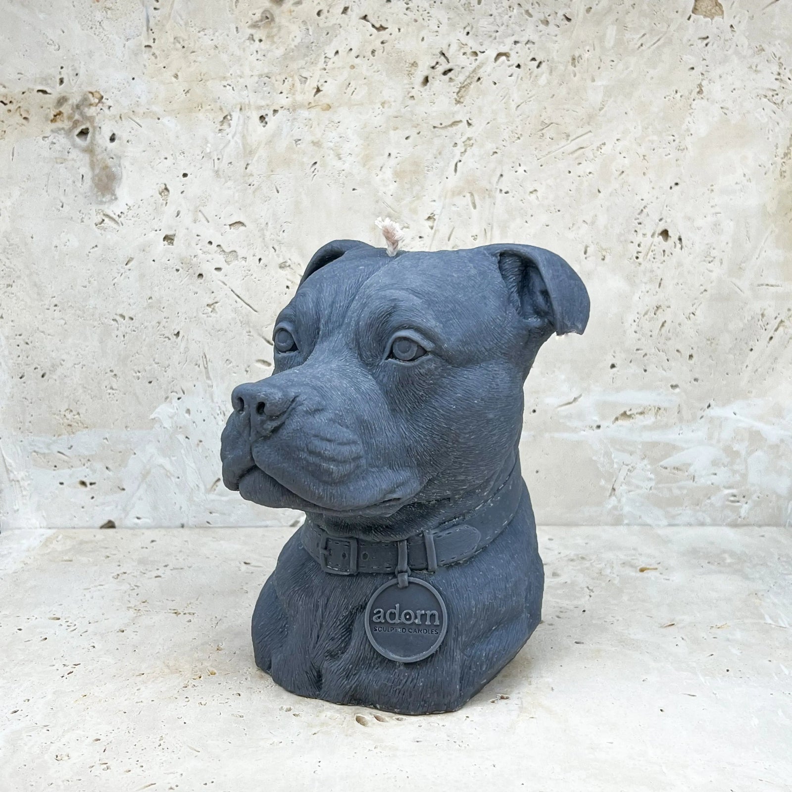 Staffordshire Bull Terrier Tuckersfx
