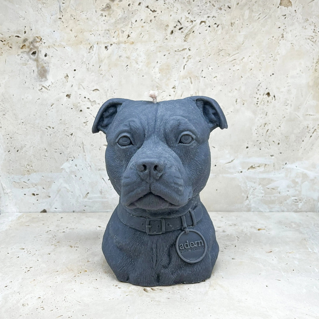 Staffordshire Bull Terrier Tuckersfx
