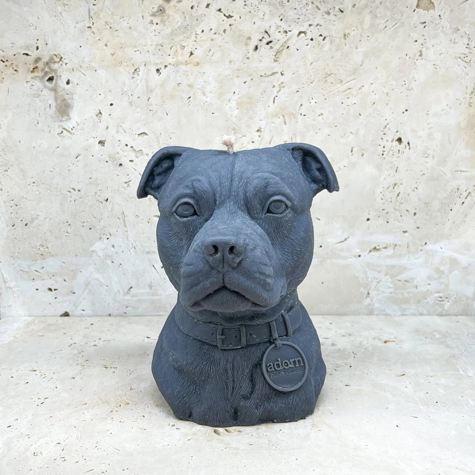 Staffordshire Bull Terrier Tuckersfx