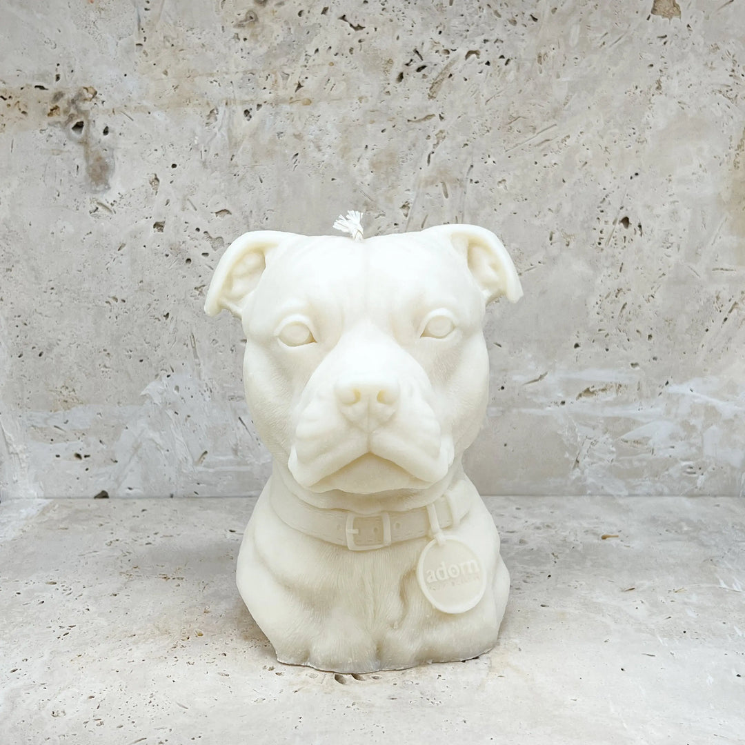 Staffordshire Bull Terrier Tuckersfx