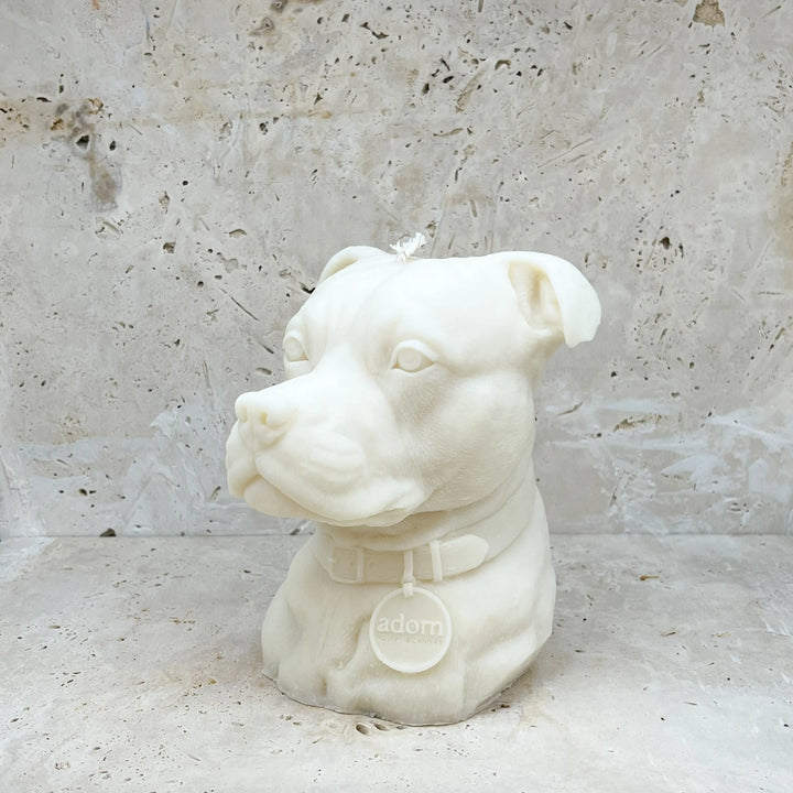 Staffordshire Bull Terrier Tuckersfx