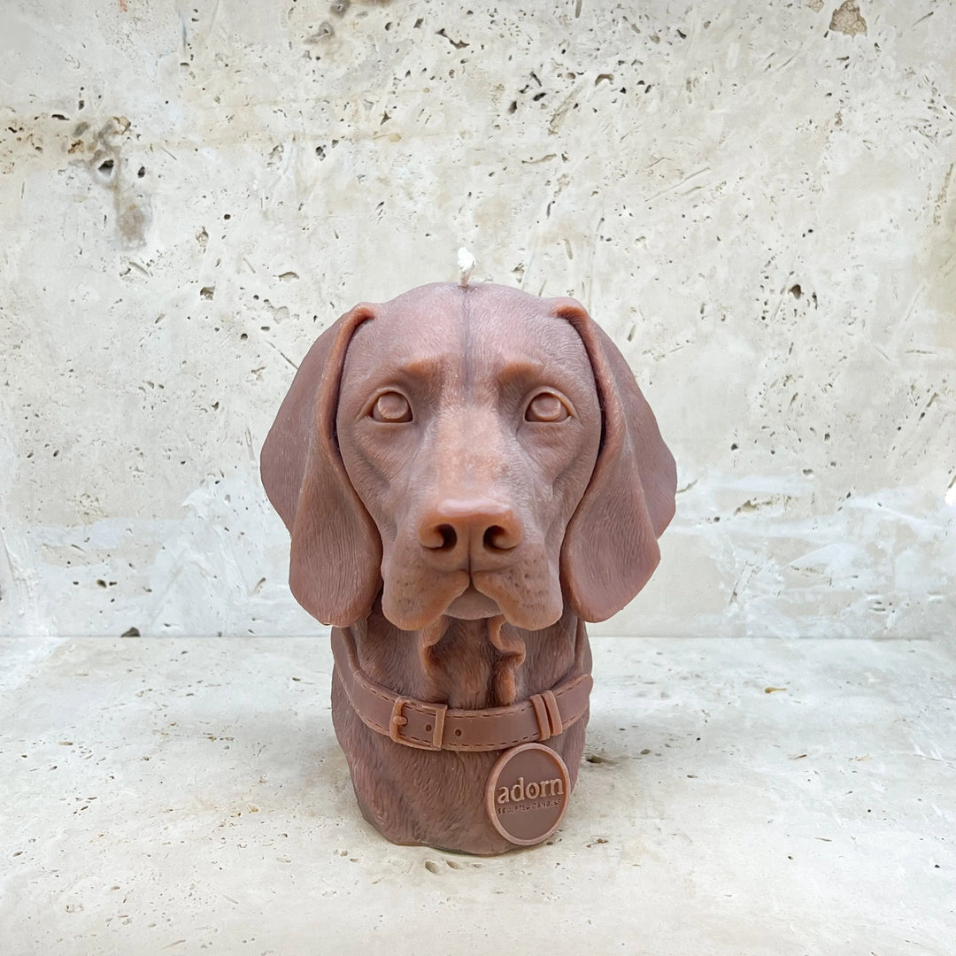 Vizsla Tuckersfx