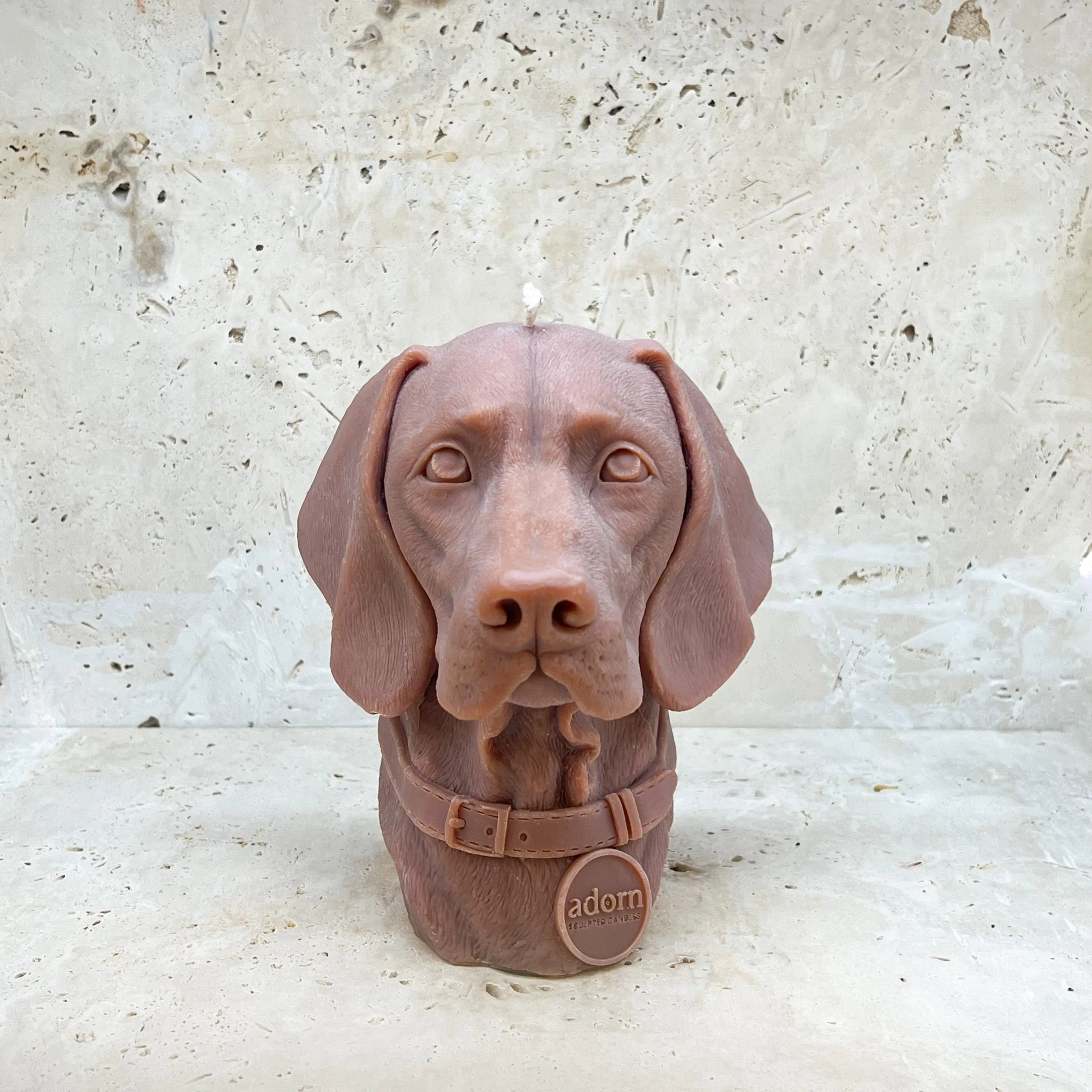 Vizsla Tuckersfx