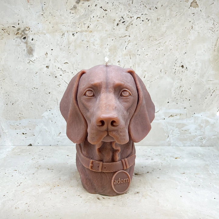 Vizsla Tuckersfx