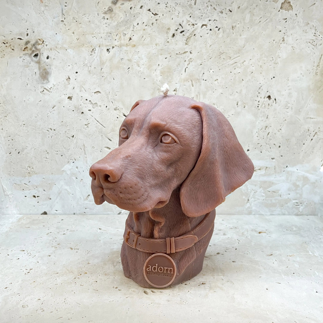 Vizsla Tuckersfx